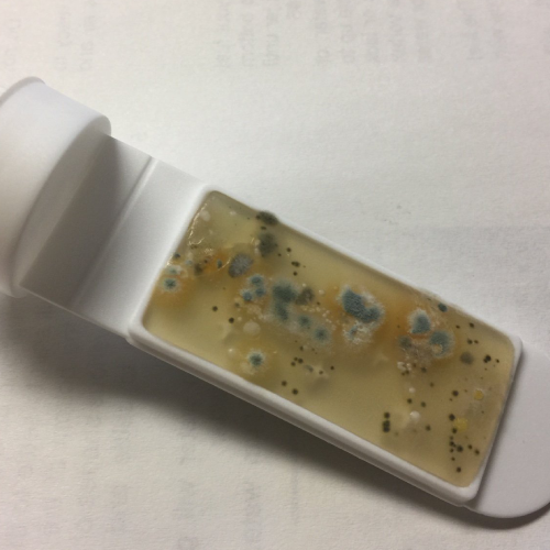 DS-1 – Fuel Microbial Contamination Test Kit