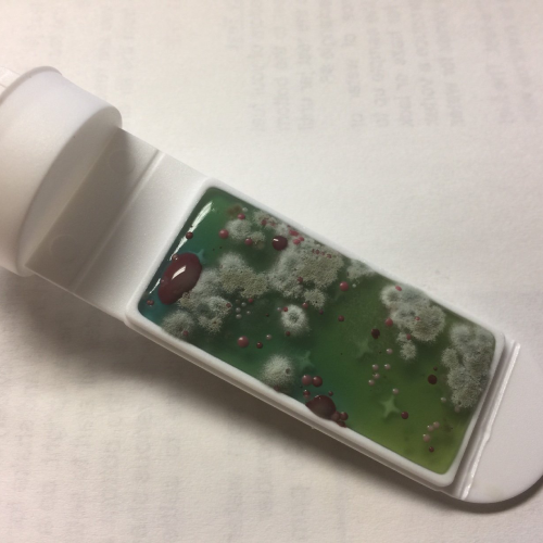 DS-1 – Fuel Microbial Contamination Test Kit